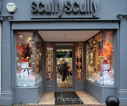 Christmas windows008