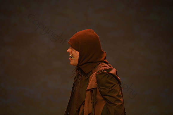 Spamalot063