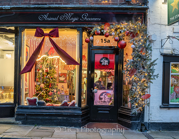 Christmas windows016