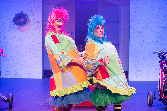 Panto082