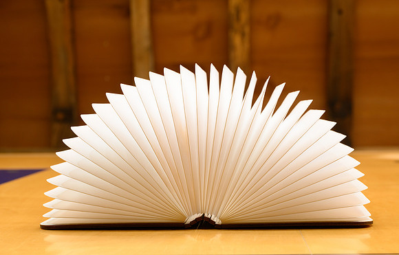 LifeBook120