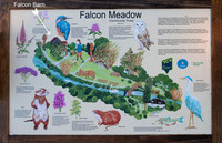 Falcon Barn02