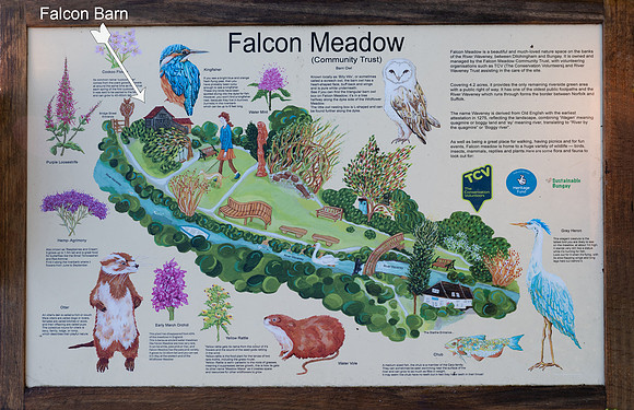 Falcon Barn02