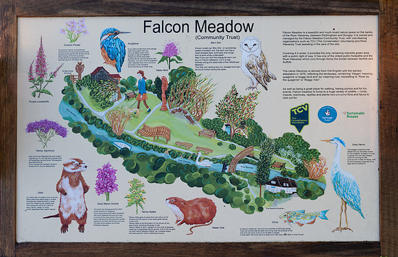 Falcon Barn03