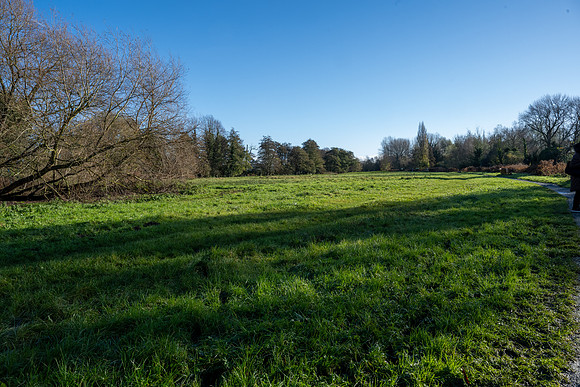 Falcon Barn26
