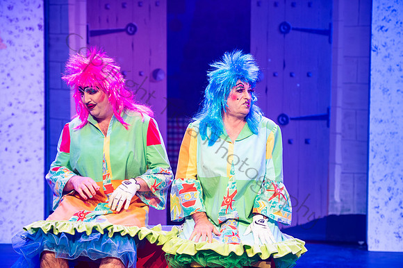 Panto063
