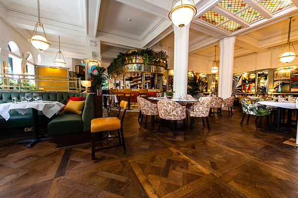 The Ivy034