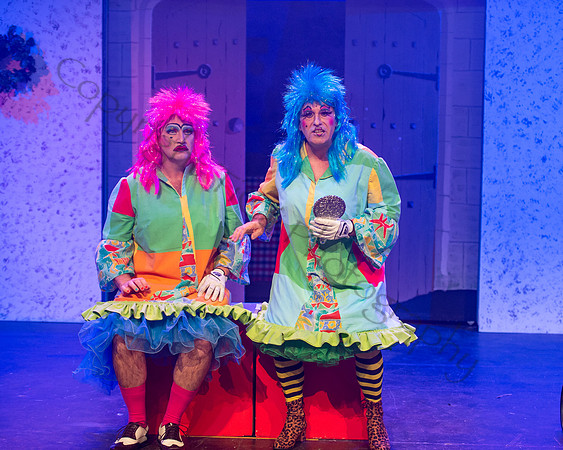 Panto067