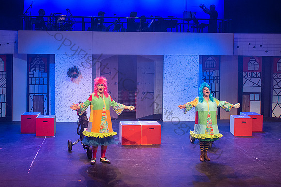 Panto084