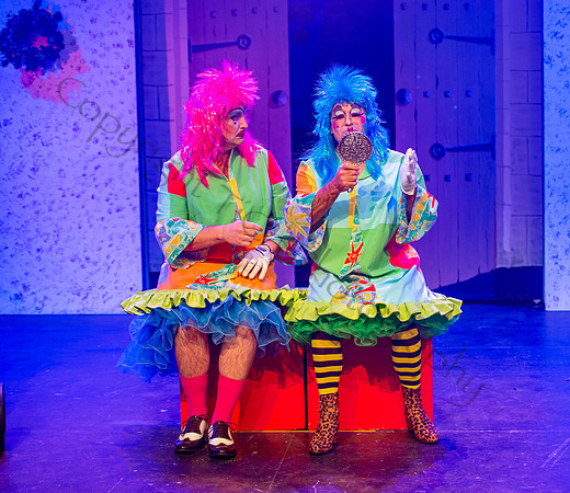 Panto065