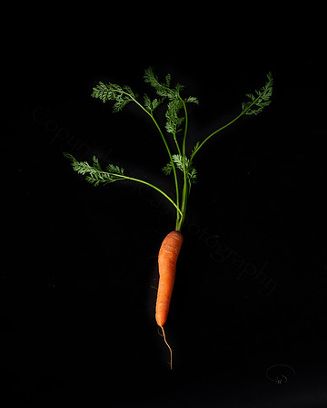 Carrot