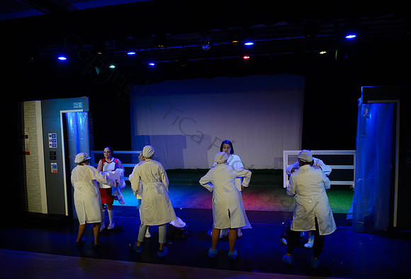 Ladies Day036