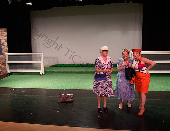 Ladies Day049