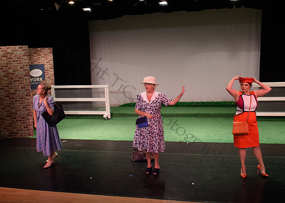 Ladies Day050