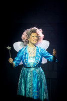 Panto005