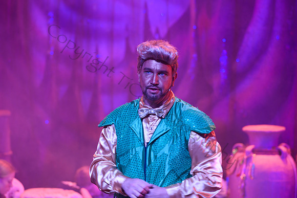 Aladdin132