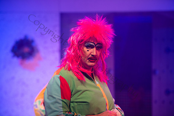 Panto070