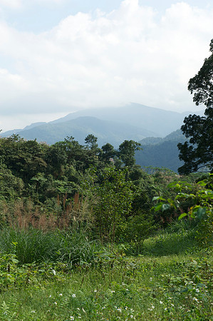 Yilan 116