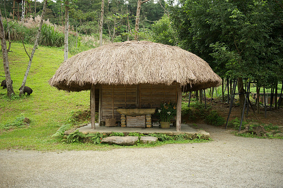 Yilan 260