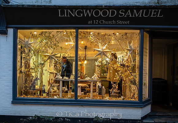Christmas windows017