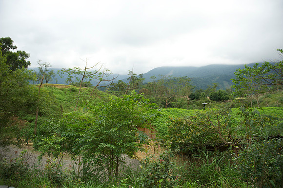 Yilan 254