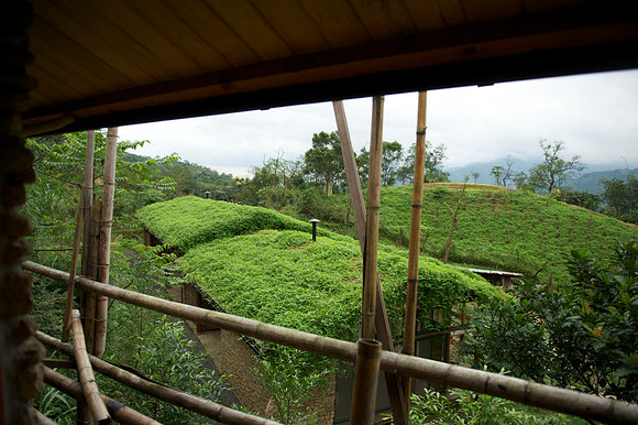 Yilan 246