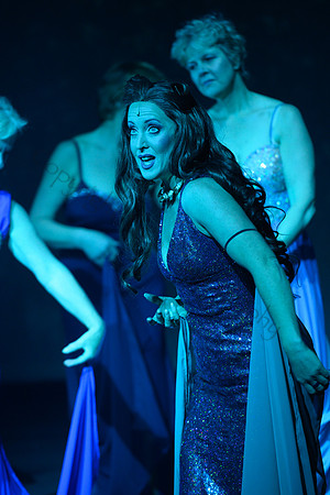 Spamalot097