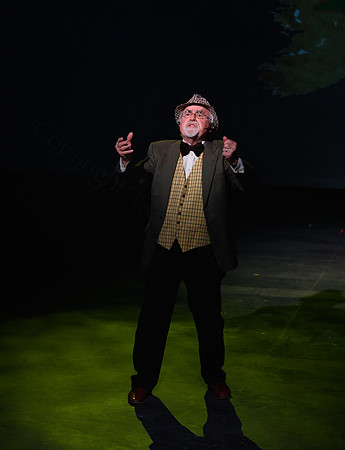Spamalot004