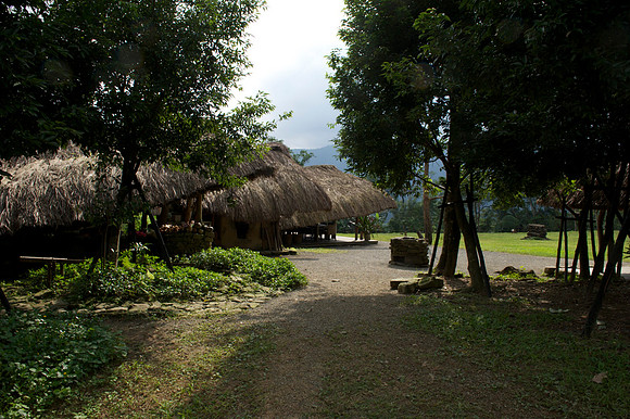 Yilan 137
