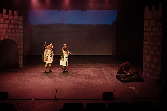Spamalot059
