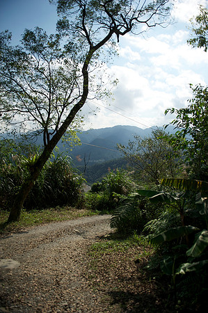 Yilan 78