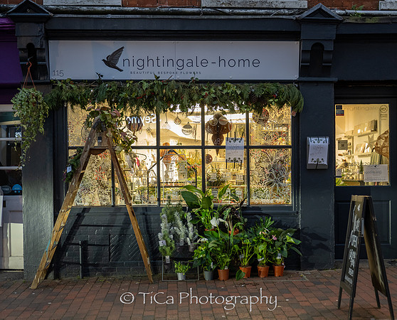 Christmas windows019