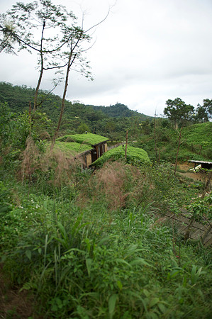 Yilan 253