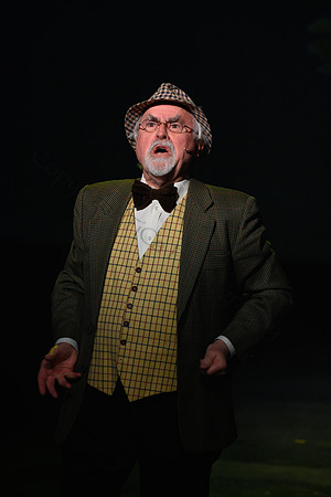 Spamalot005